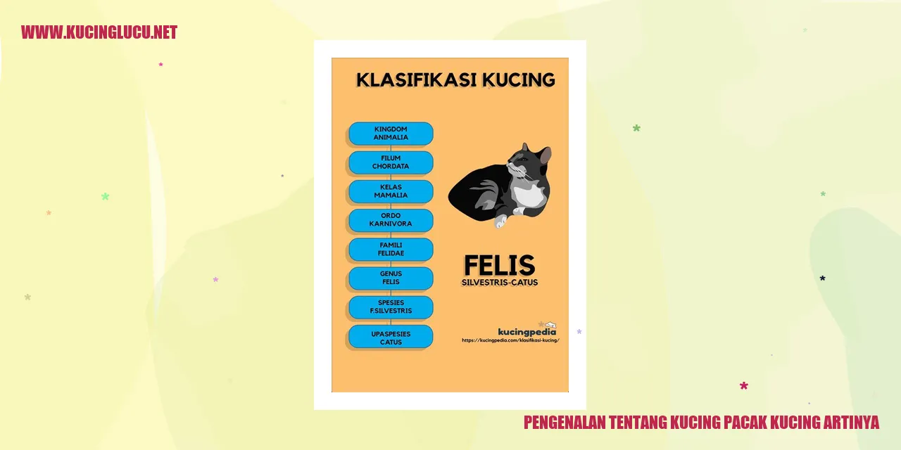 Kucing Pacak