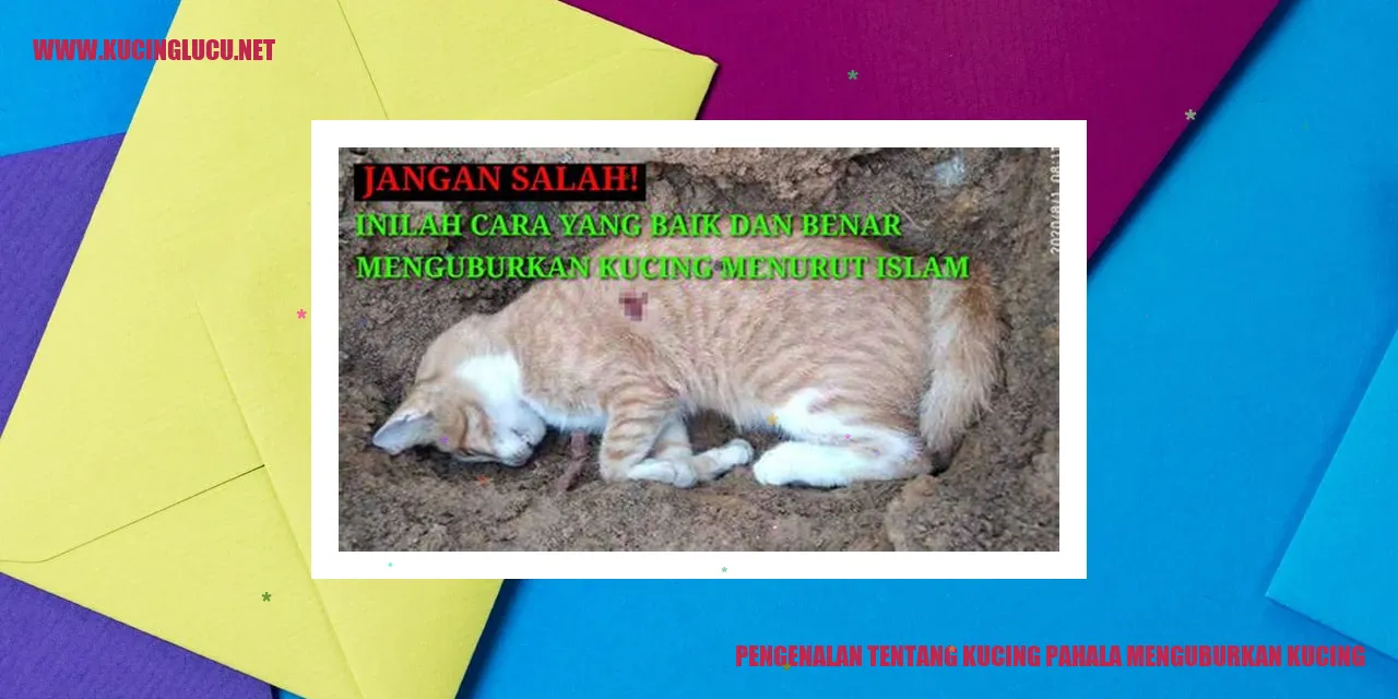 Pengenalan tentang Kucing pahala menguburkan kucing