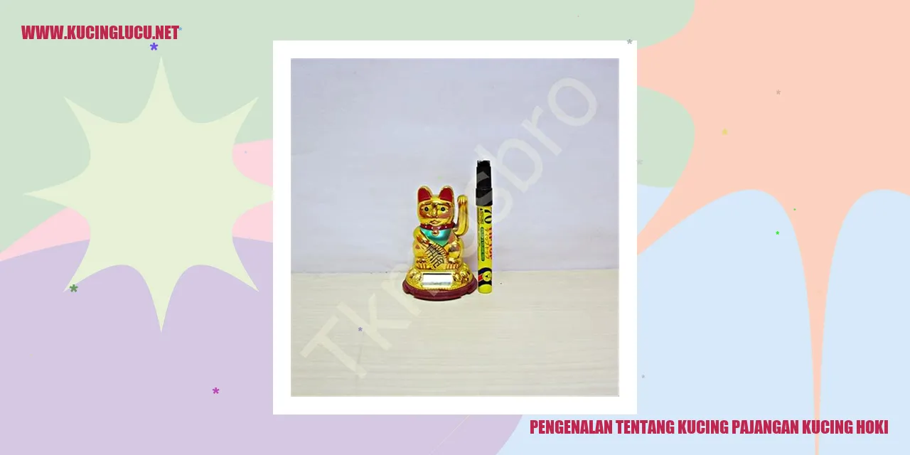 Kucing Hoki