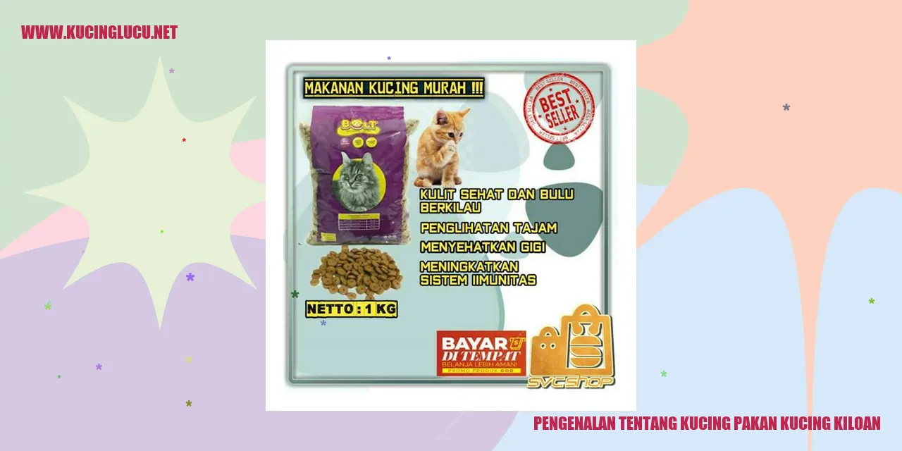 Kucing Kiloan