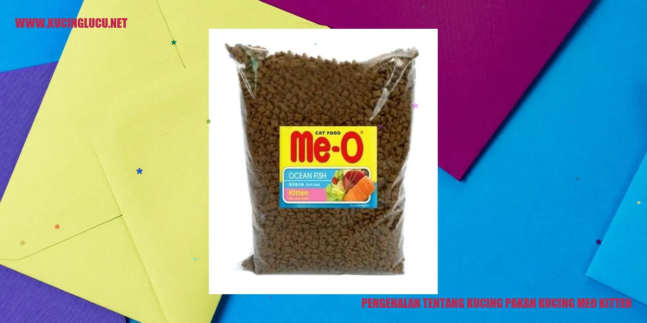 Gambar kucing meo kitten