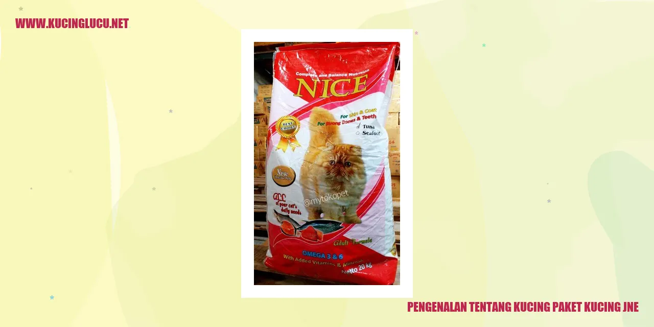 Kucing Paket Kucing JNE