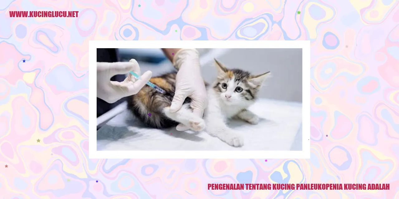 Kucing Panleukopenia
