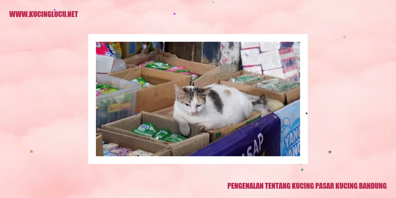 Pasar Kucing Bandung