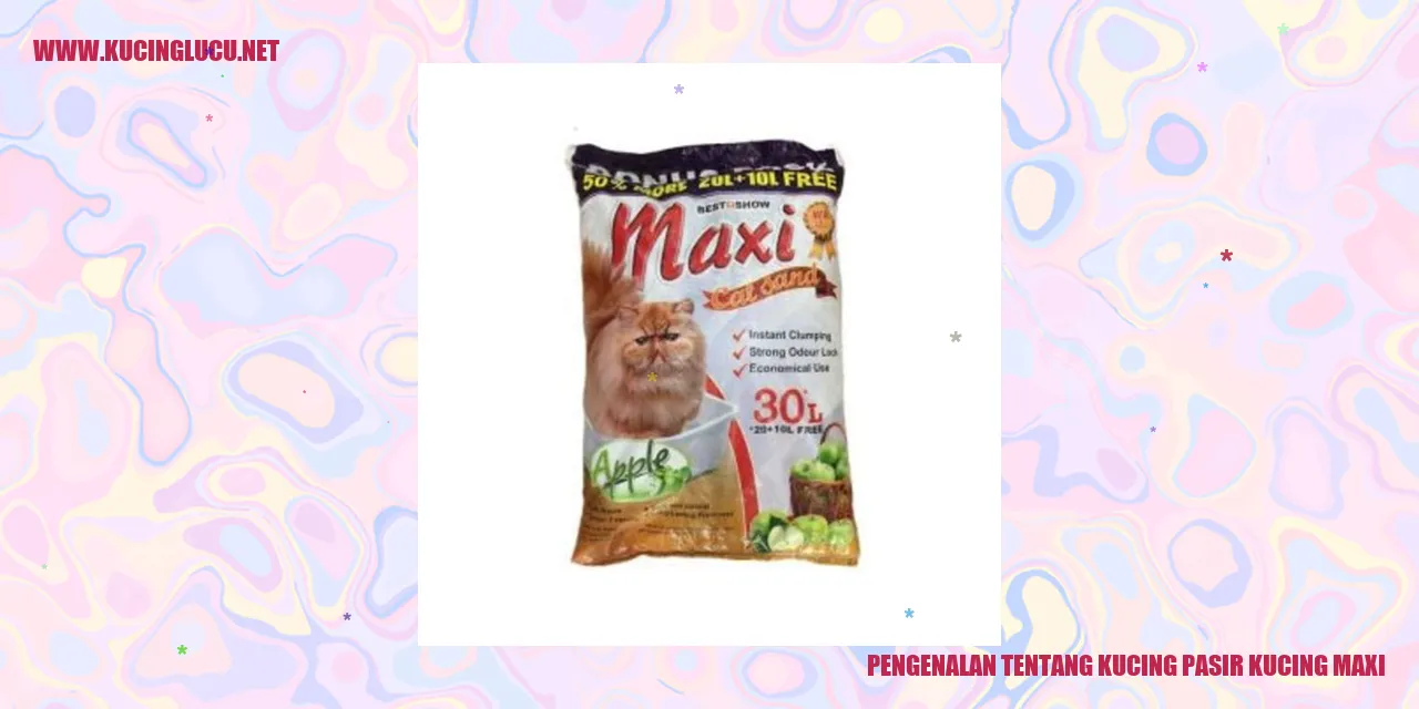 Kucing Pasir Kucing Maxi