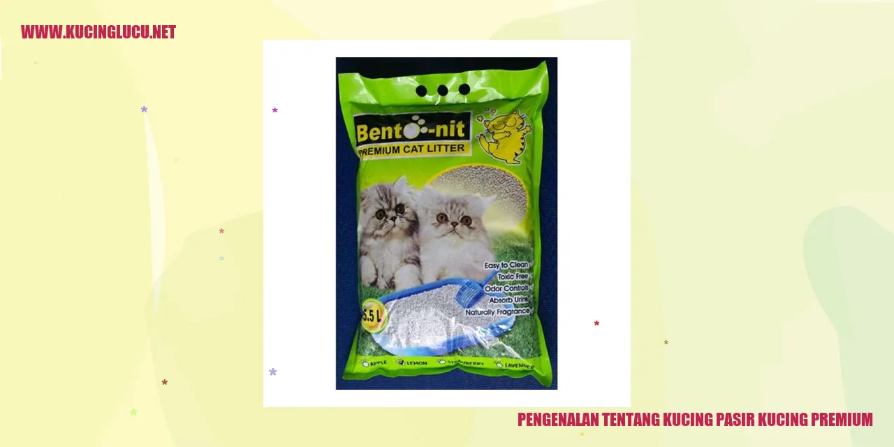 Gambar Kucing Pasir