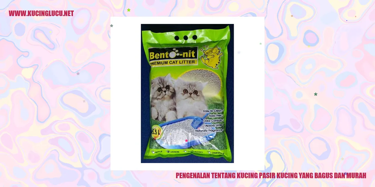 Gambar Kucing Pasir