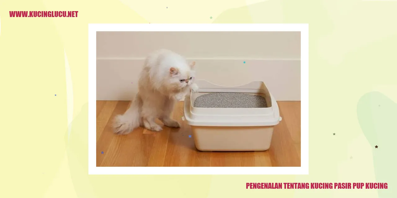 Kucing Pasir Pup Kucing