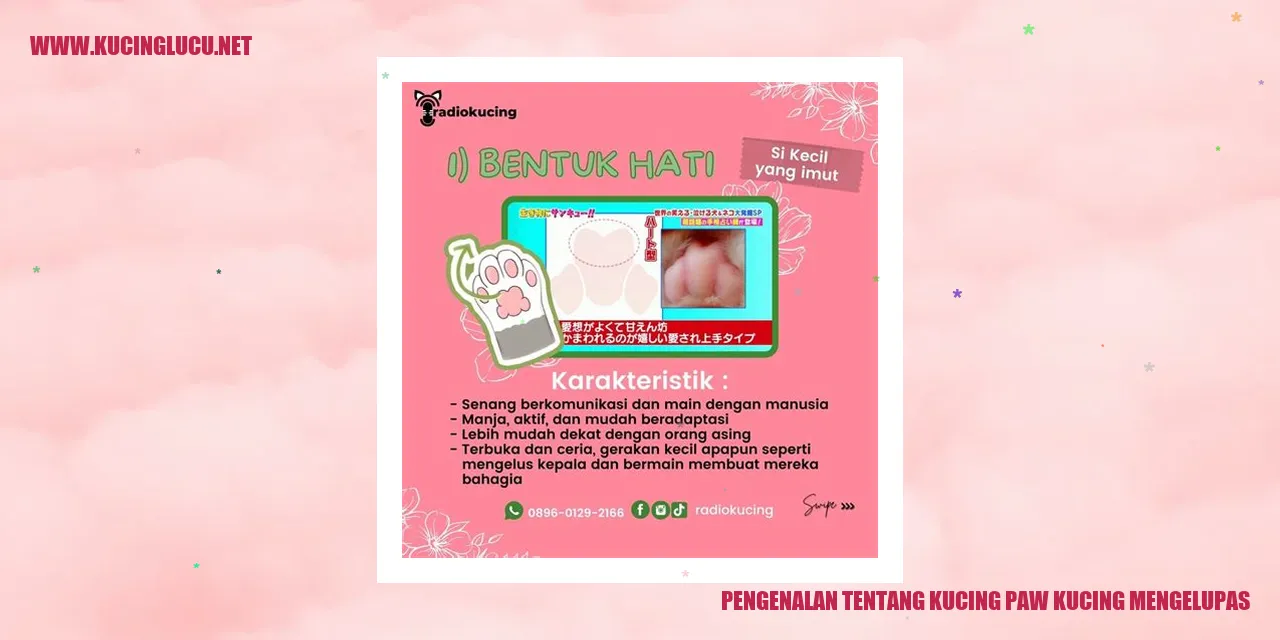 Gambar Kucing Mengelupas