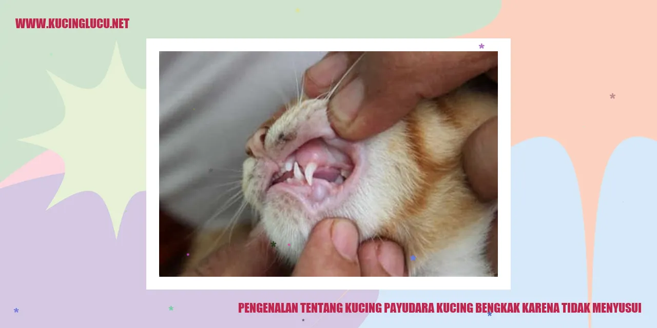 Kucing payudara kucing bengkak karena tidak menyusui
