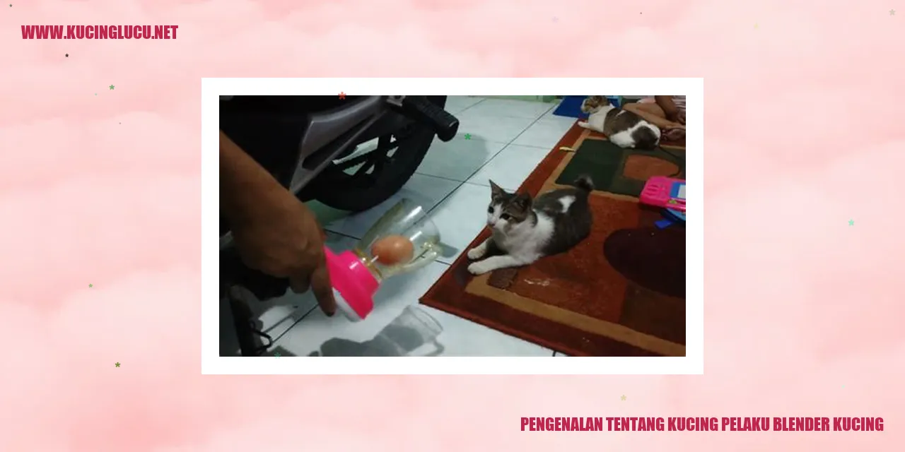 Kucing Pelaku Blender Kucing