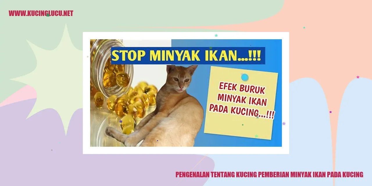 Gambar Kucing dan Manfaat Minyak Ikan
