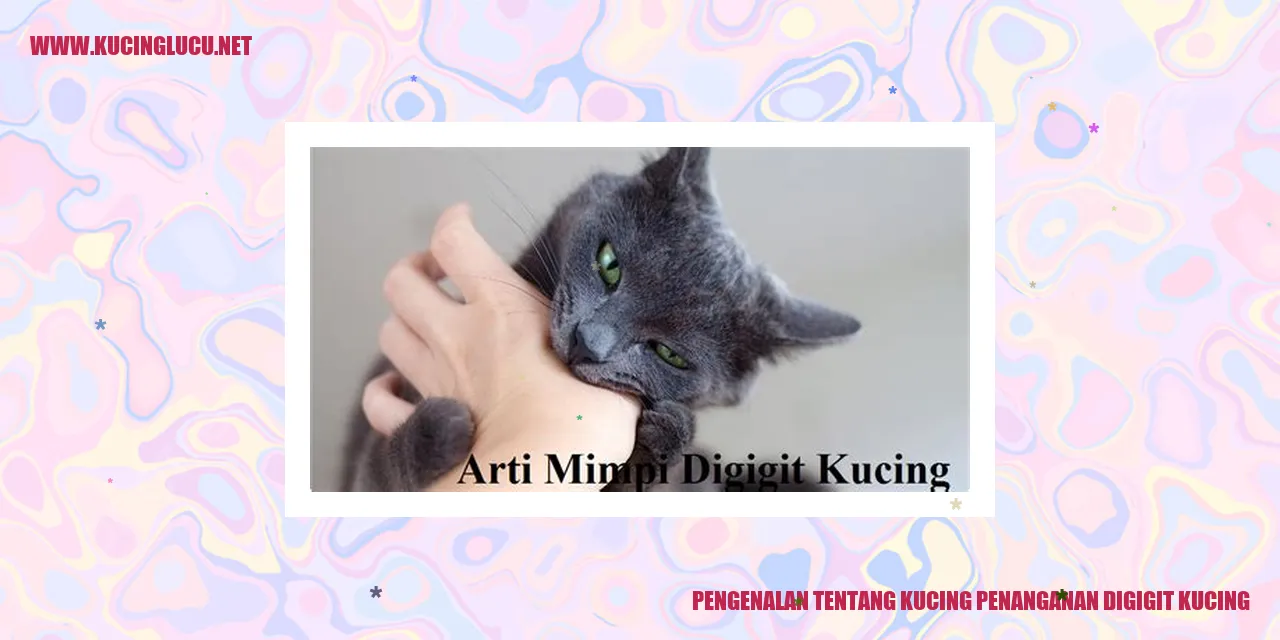 Gambar Kucing yang Menggemaskan
