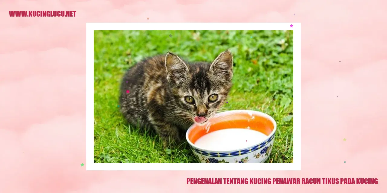Gambar Kucing Penawar Racun Tikus