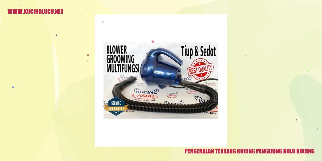 Kucing Pengering Bulu Kucing