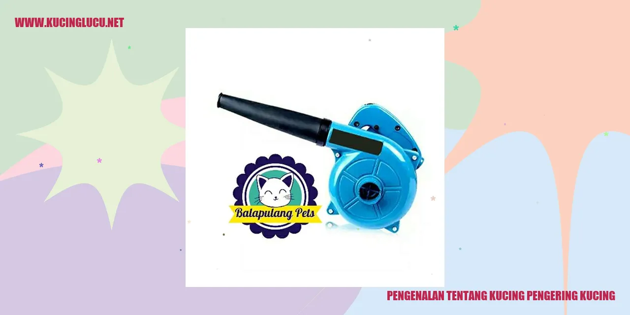 Kucing pengering kucing