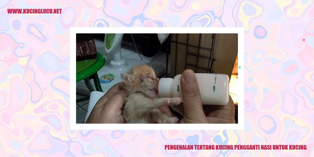 Gambar Kucing Sehat