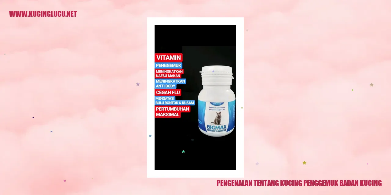 Kucing Penggemuk Badan