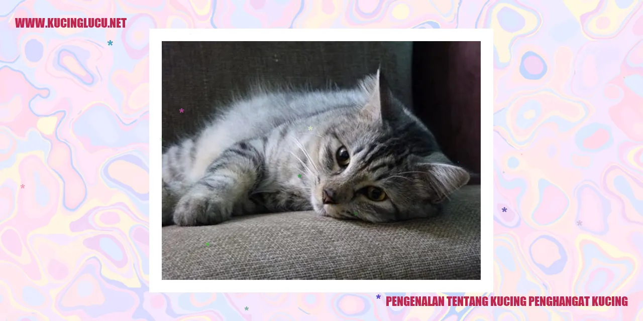Kucing Penghangat Kucing