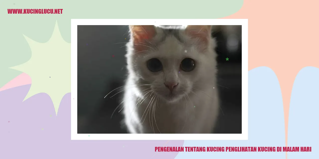 Gambar Kucing