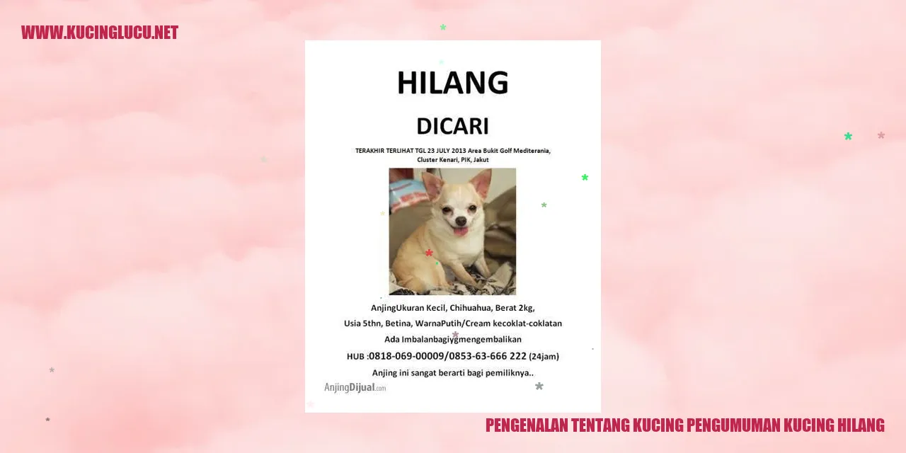 Pengenalan tentang Kucing dan Pengumuman Kucing Hilang