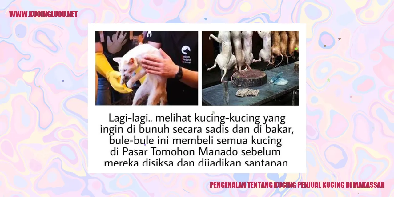 Kucing Penjual Kucing di Makassar