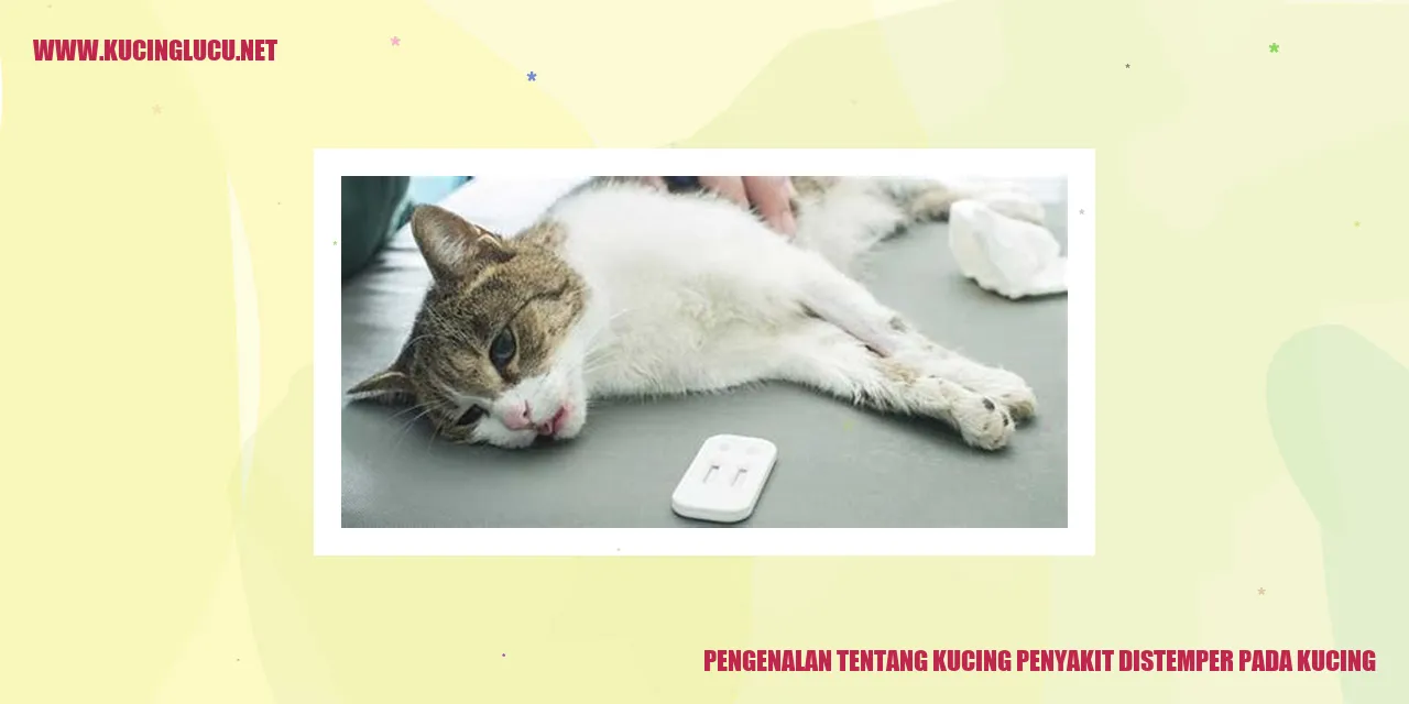 Gambar Kucing Terkena Penyakit Distemper