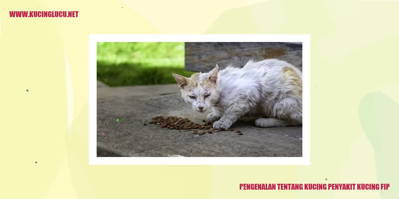 Kucing and Penyakit Kucing FIP