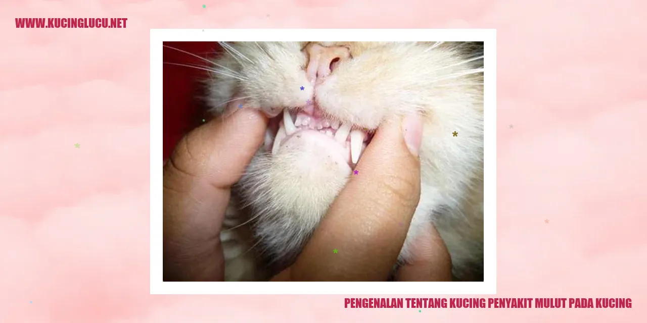 Gambar Kucing dengan Penyakit Mulut