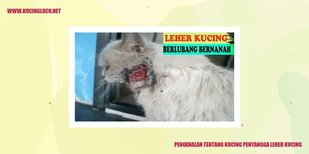 Kucing Penyangga Leher Kucing