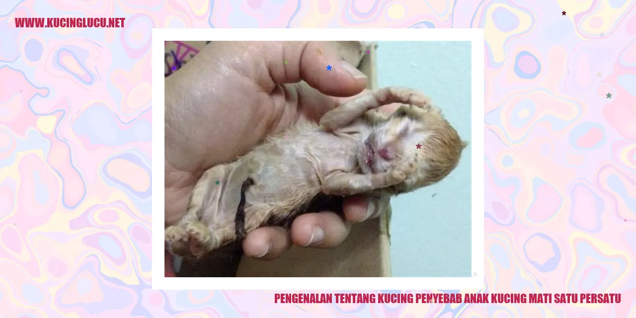 Kucing dengan anak kucing