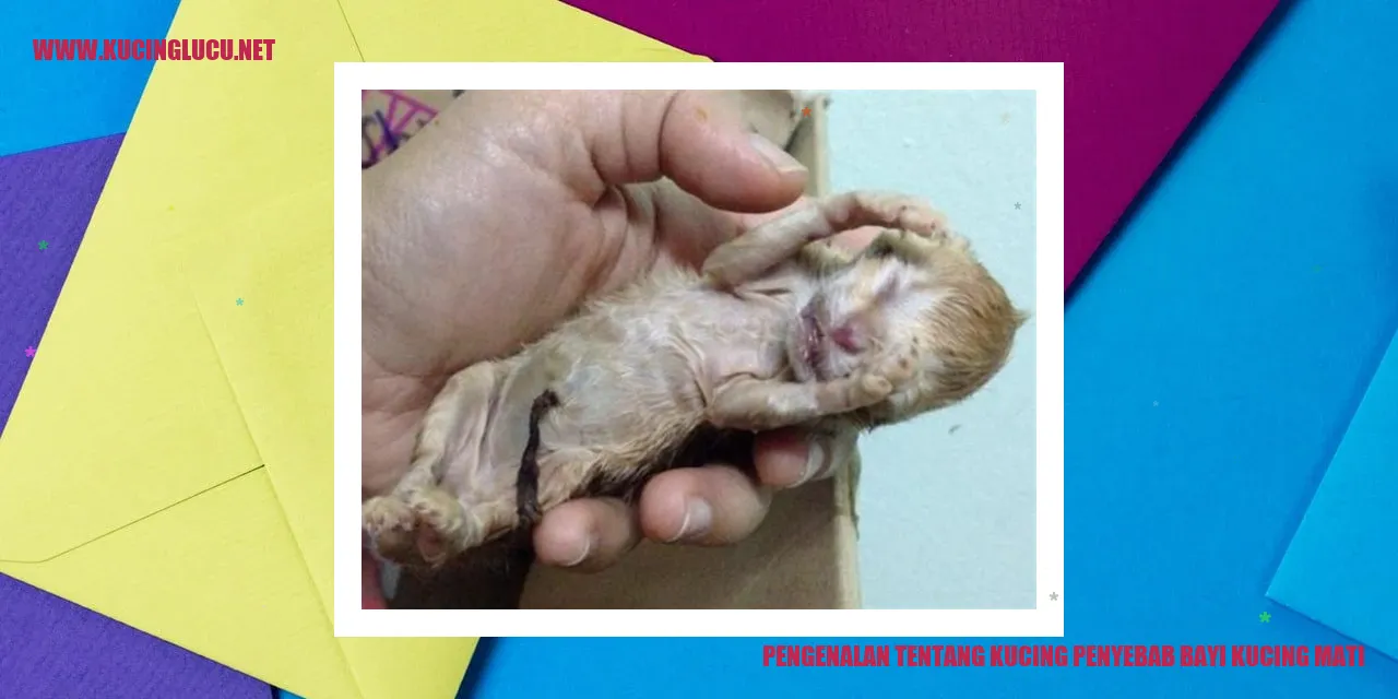 Gambar kucing dan bayi kucing