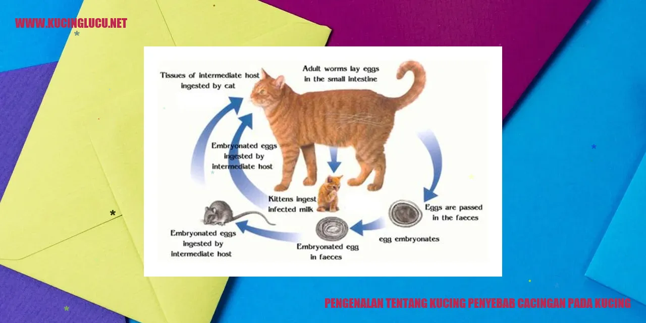 Kucing dan Cacingan