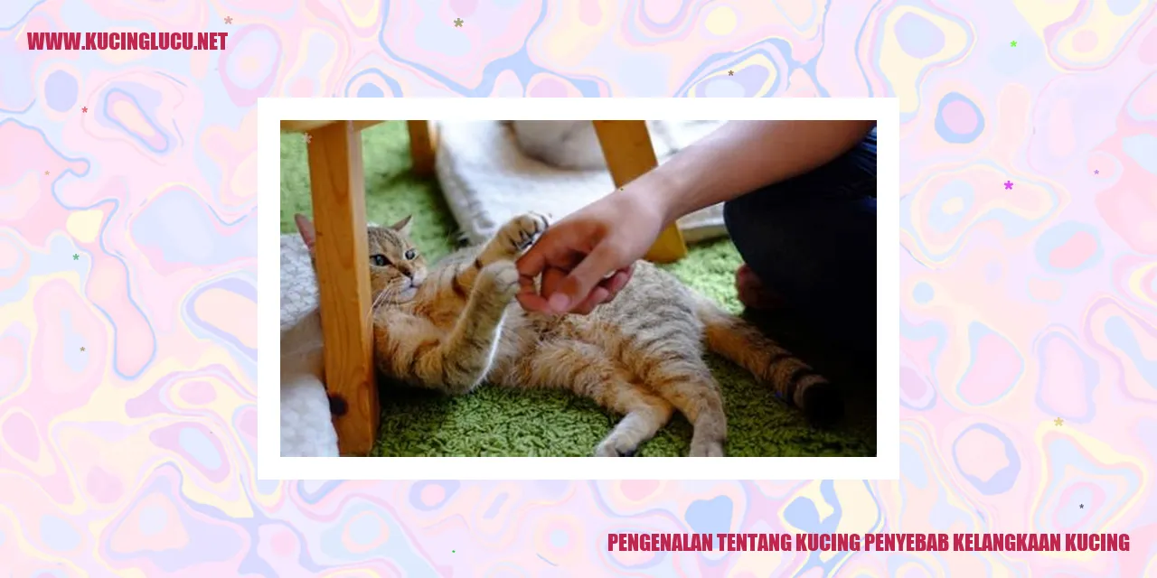 Seekor Kucing Sedang Bersiap