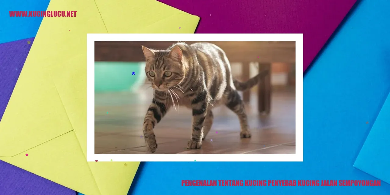 Gambar Kucing Jalan Sempoyongan