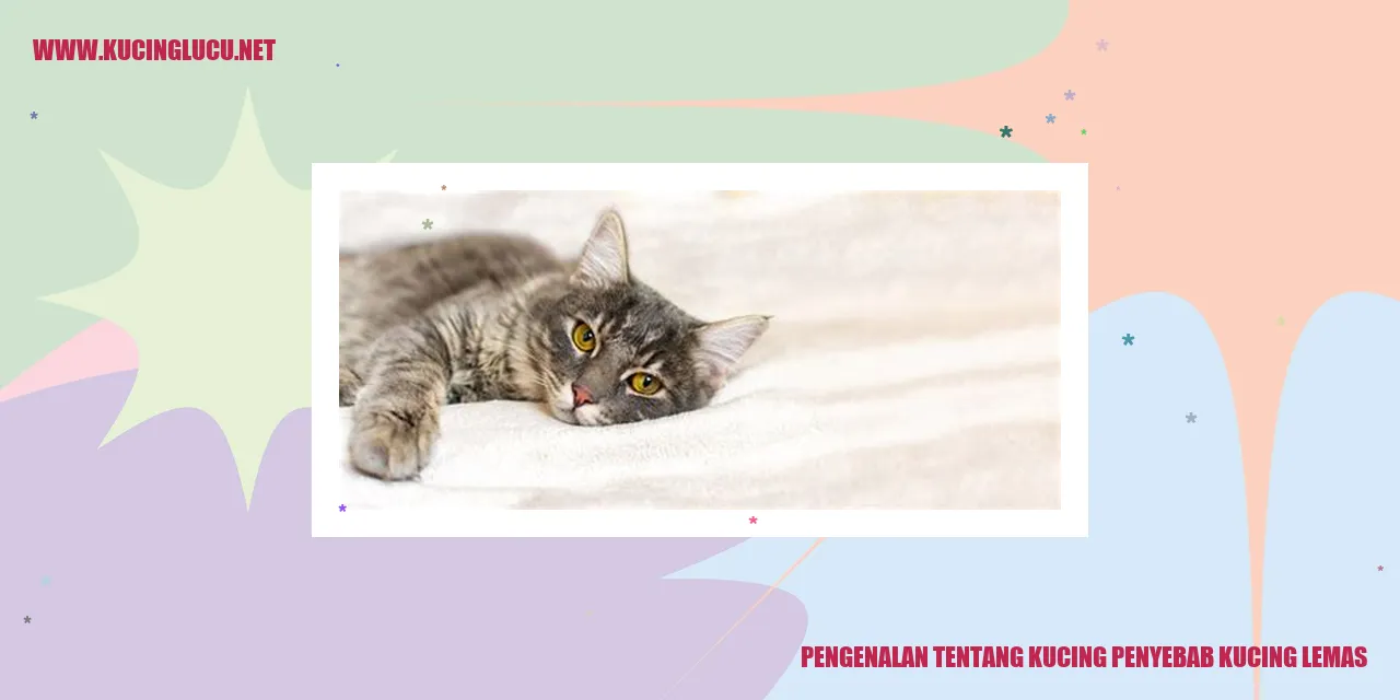 Gambar Kucing yang Menggemaskan