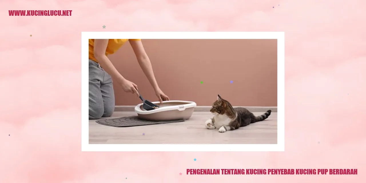 Gambar Kucing