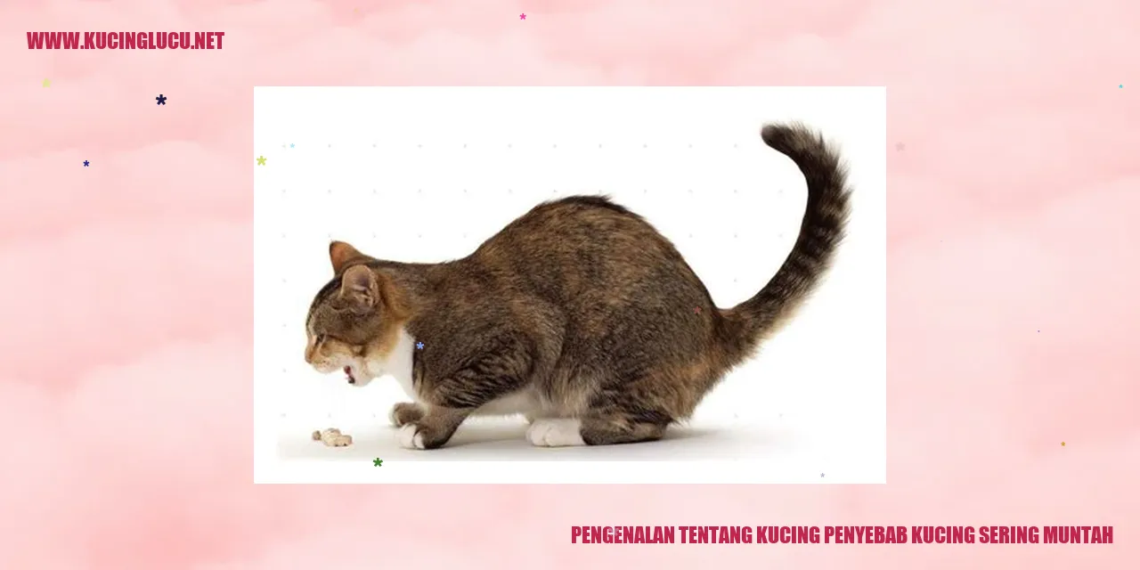 Gambar Kucing