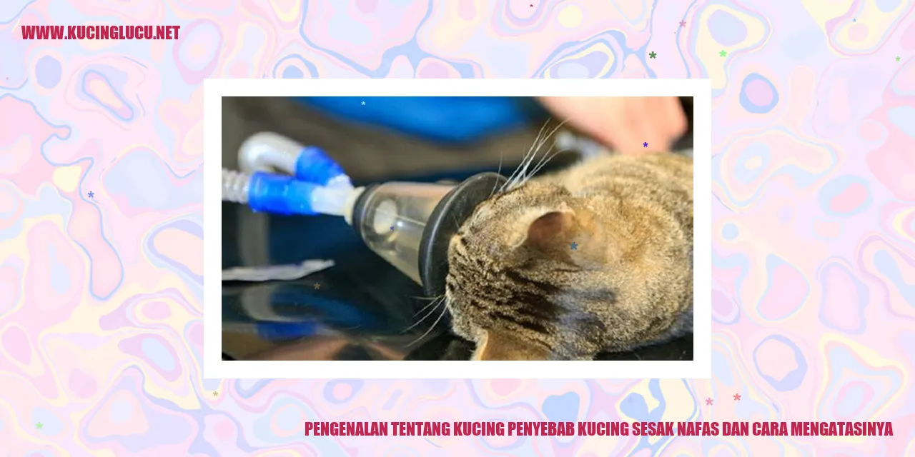 Gambar kucing yang menggemaskan