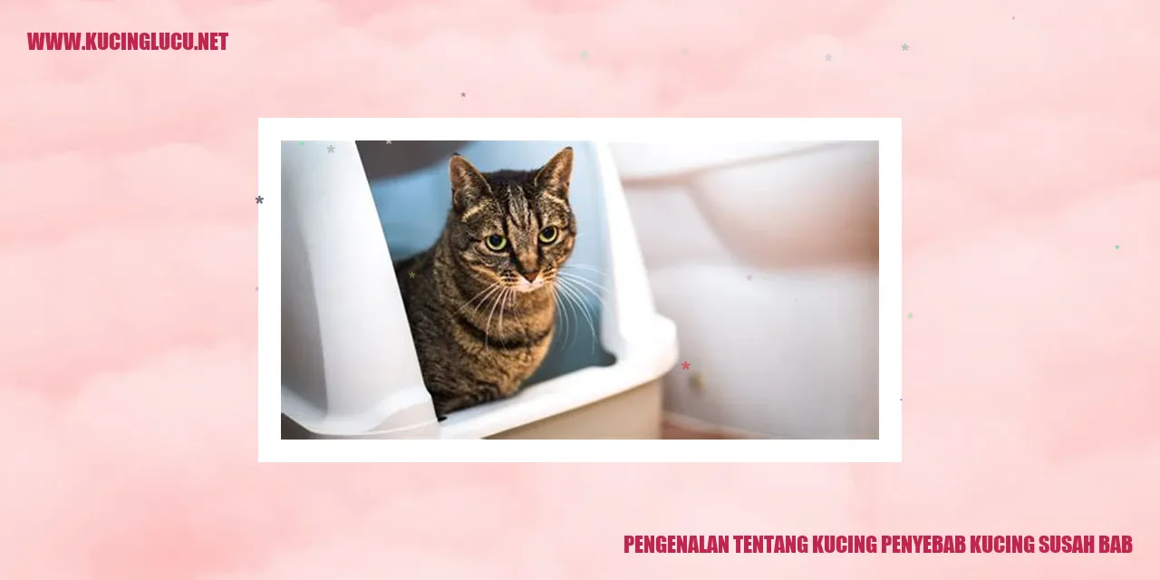Ilustrasi seekor kucing
