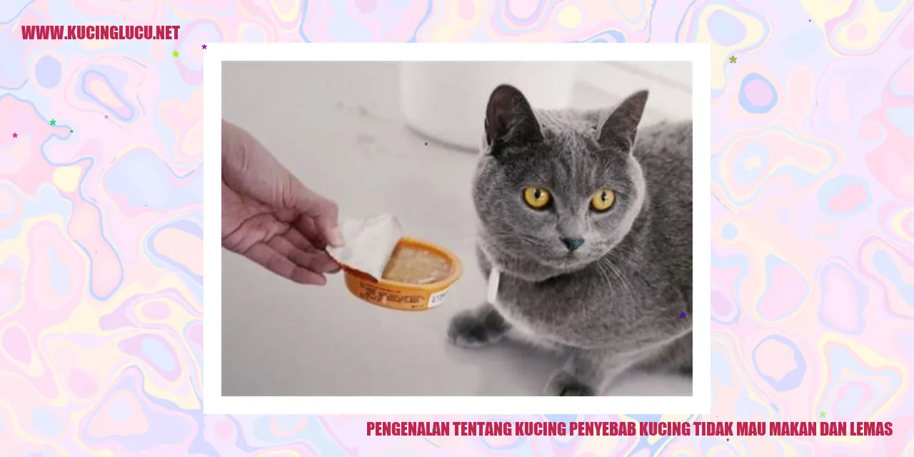 Gambar Kucing yang tidak mau makan dan lemas