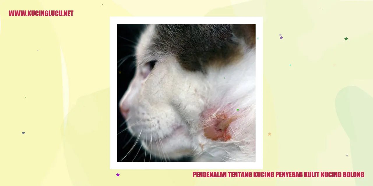 Ilustrasi kucing dengan kulit bolong