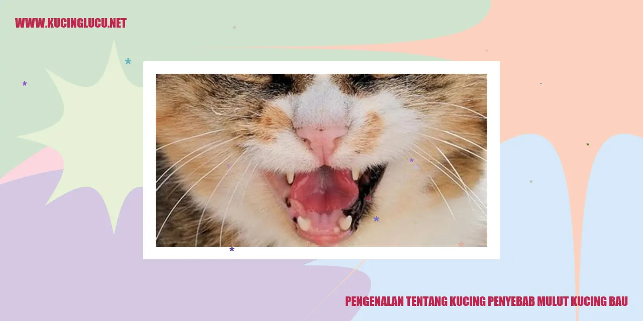 Kucing penyebab mulut kucing bau