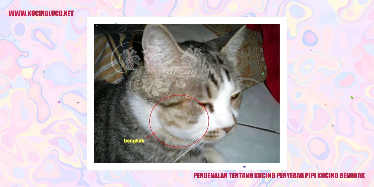 Kucing penyebab pipi kucing bengkak