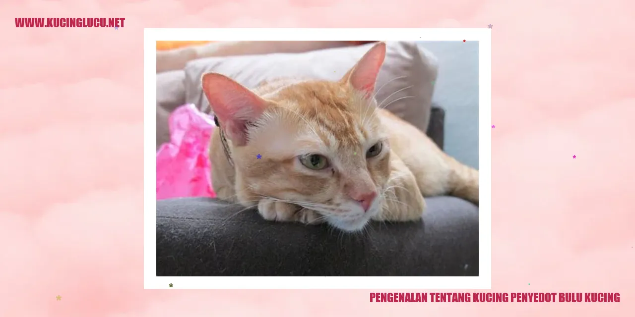 Kucing Penyedot Bulu Kucing