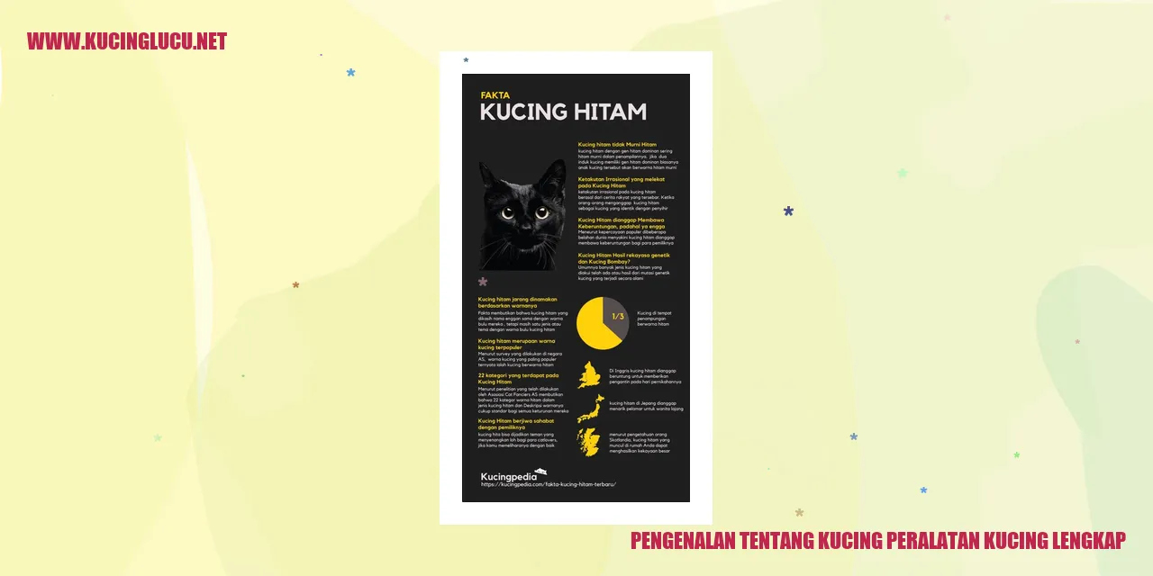 Pengenalan tentang Kucing peralatan kucing lengkap