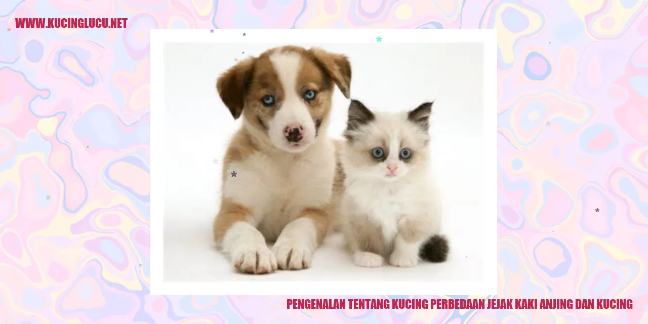 Gambar Kucing dan Anjing
