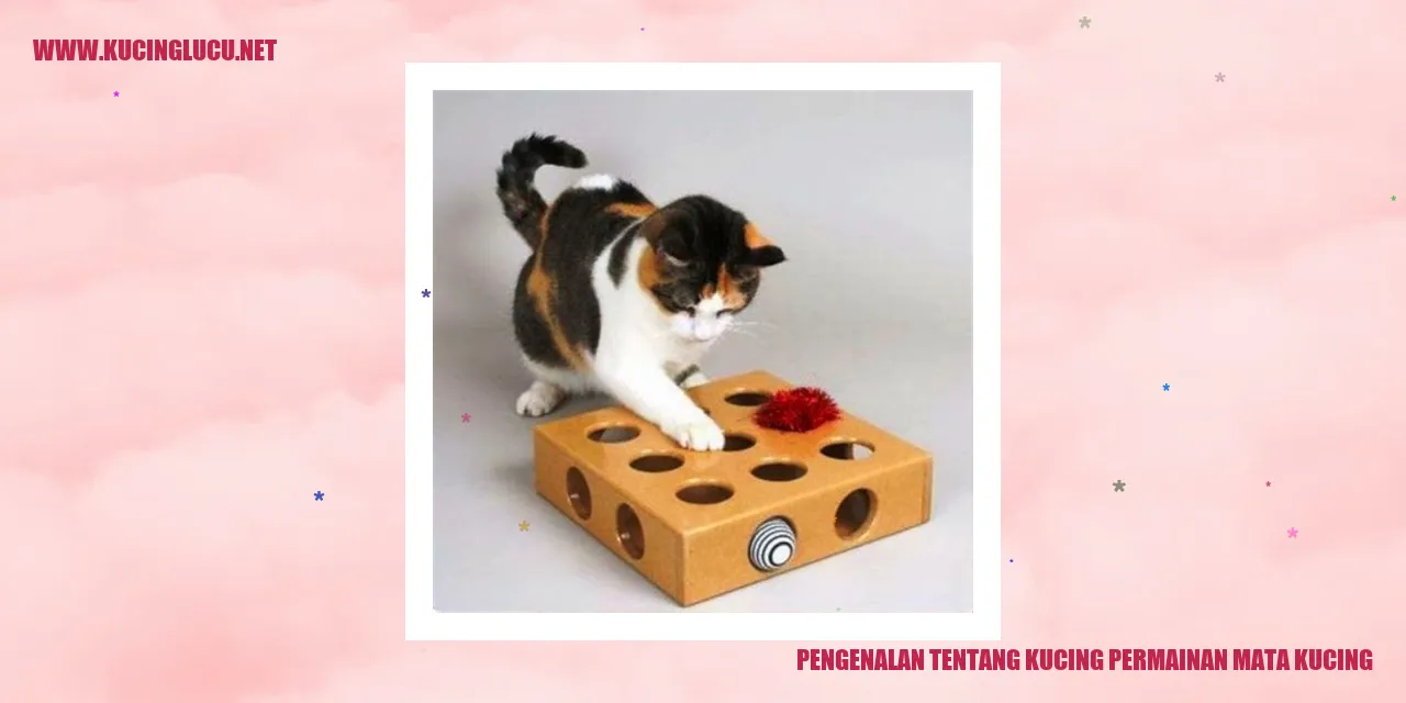 Kucing Mata Kucing