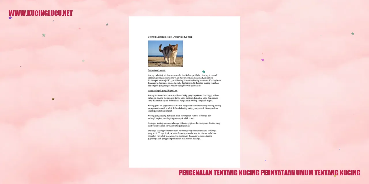 Gambar Kucing