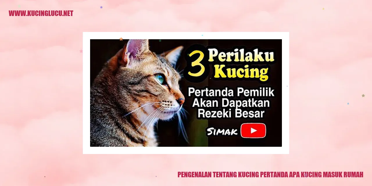 Gambar kucing